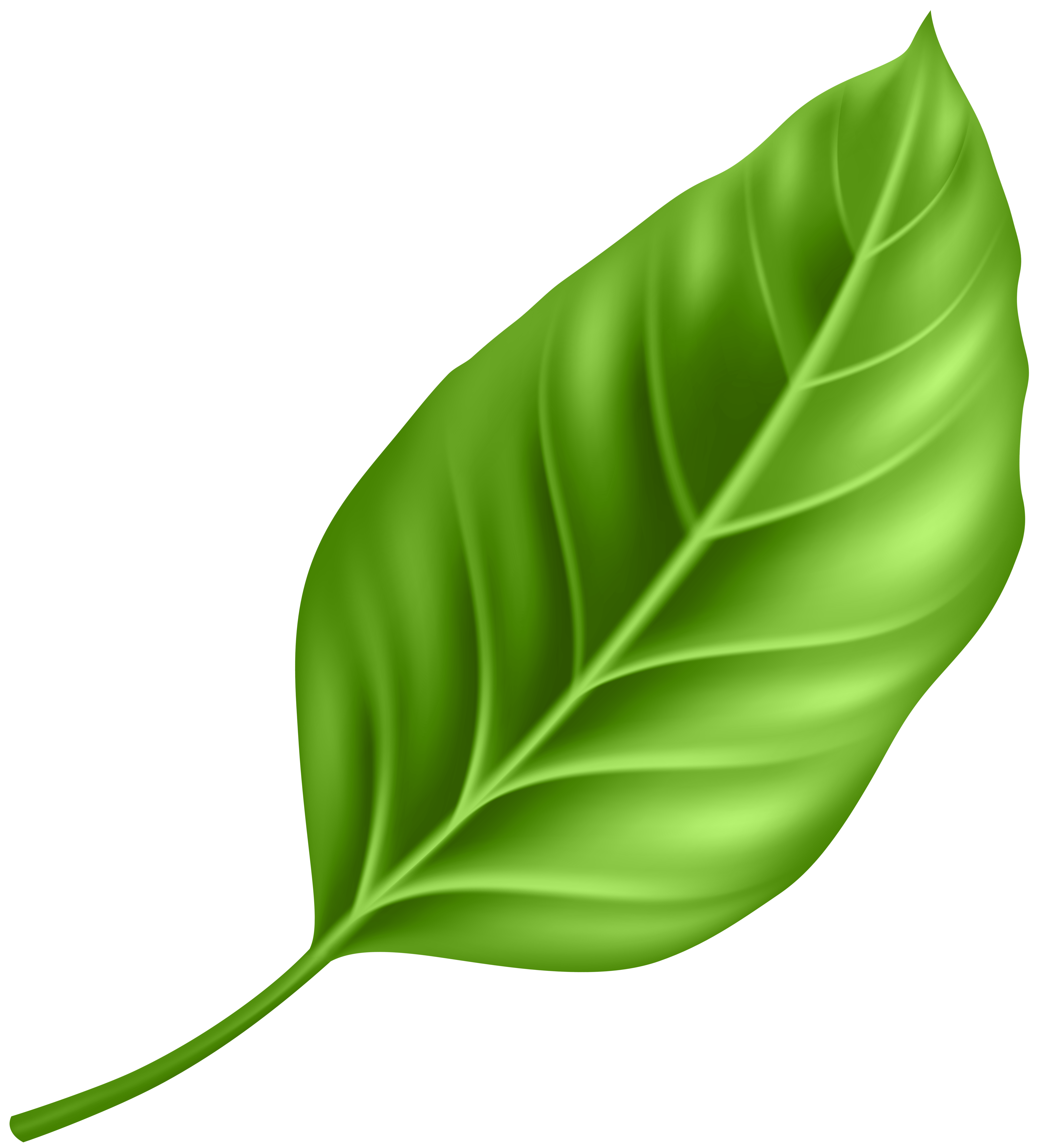 leaf2