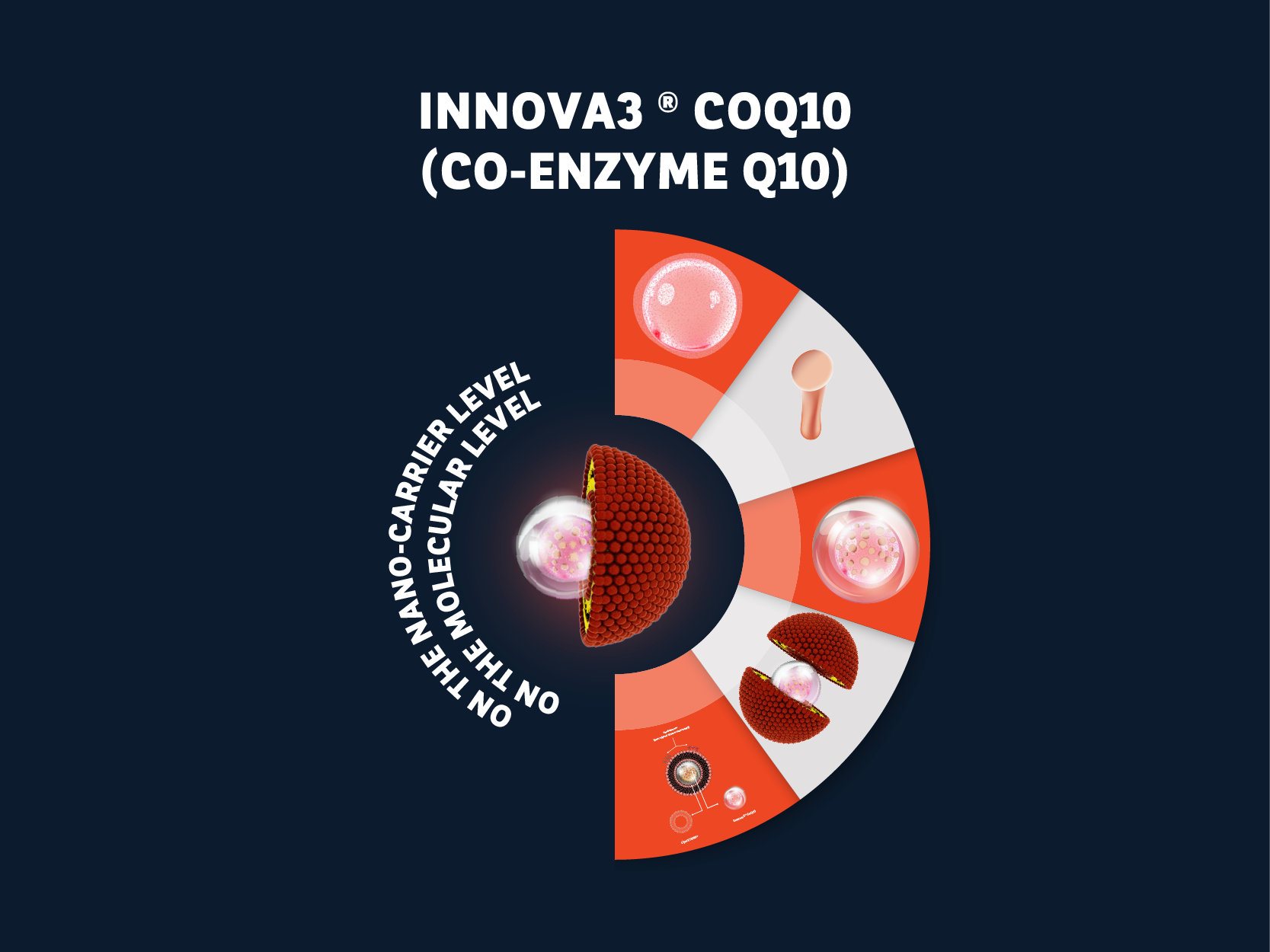 Stressed Cell Visualization