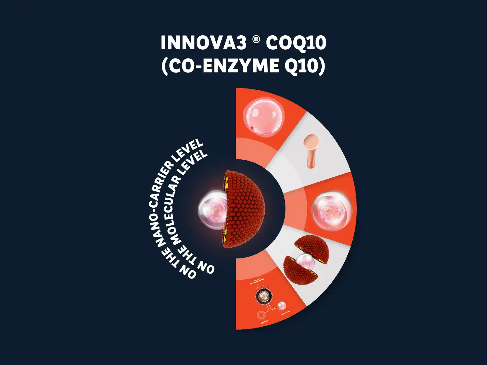 Stressed Cell Visualization