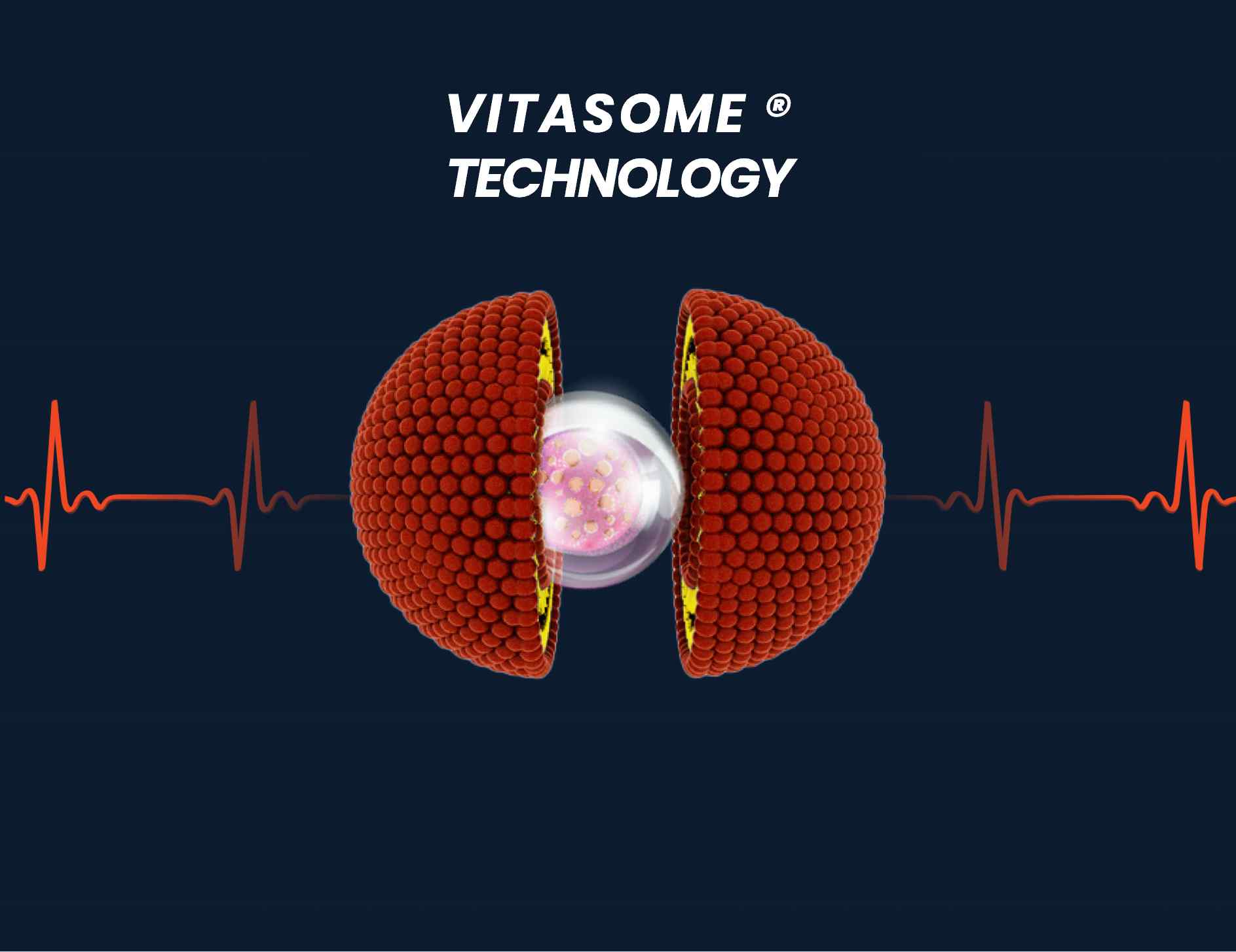 Healthy Cell Visualization