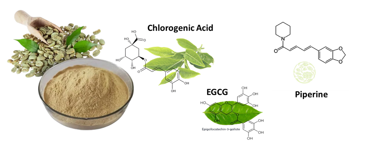 Stressed Cell Visualization